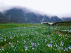 -亿利库布其七星湖沙漠生态旅游区