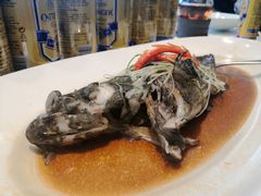 清蒸老虎斑-宝燕壹号(徐汇店)