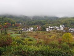 -塔川景区