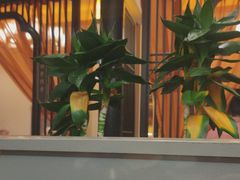 -二分八云雁阁•新晋菜大同味(长治路店)