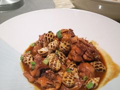 辣酒本鸡煮花螺-至尊鲨鱼·原烹海鲜·新浙菜(拱宸桥店)