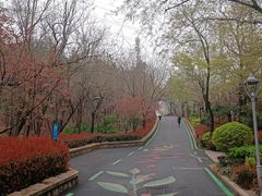 -北岭山森林公园
