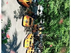 -三亚南山文化旅游区