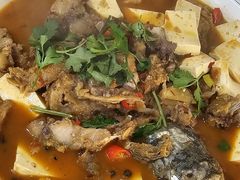 -煲来饱去冷水鱼