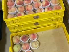 -老袁家蜜桃农场·阳山水蜜桃