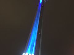 -339旋转餐厅(天府熊猫塔店)