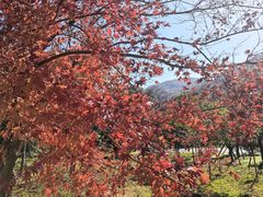 -南北湖风景区