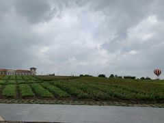 -歌斐颂巧克力小镇