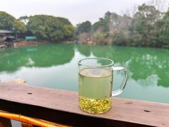 -张鸟园农家乐(张鸟园店)
