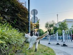 -上海交通大学医学院附属仁济医院(南院)