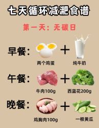 -Fundi张玉珊修身堂·indiba·BTL科技瘦身