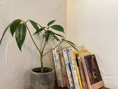 -MAISON门前杂货店