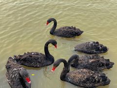 -漩门湾国家湿地公园