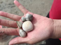 -北海金海湾红树林生态旅游区