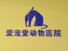 -瑞鹏宠物医院·爱宠堂·骨外专科(西荷分院)