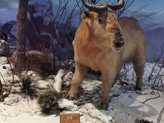 -陕西自然博物馆