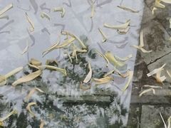 -仁信老铺甜品(北京路店)