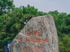 -洛阳古墓博物馆