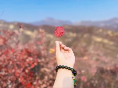 -周口店坡峰岭风景区