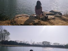 -大兴滨河森林公园