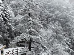 -秦岭天竺山景区