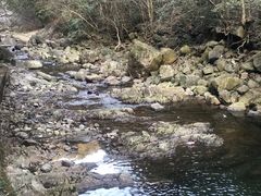 -宁波五龙潭景区