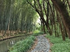 -同里国家湿地公园