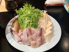 火锅食蔬-鲤·鮨KOISUSHI