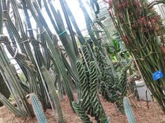 -南山植物园