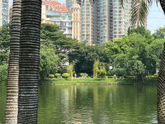 -晓港公园