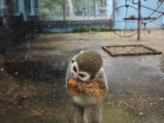 -秦皇岛野生动物园