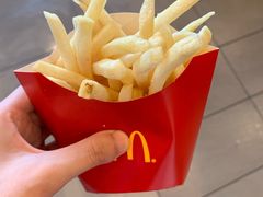 -麦当劳(庐山南路店)