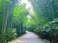 -石塘人家