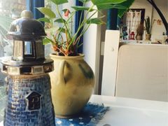 Anne猫窝咖啡屋-Anne猫窝咖啡屋