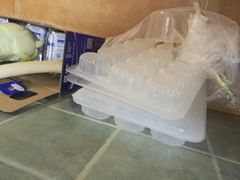 -赵奶奶水饺锅贴小酒馆(丁字沽店)