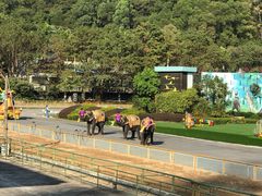 -维也纳酒店(深圳大学城店)