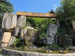 -东天目山风景区