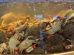 -海天盛宴新派海鲜自助餐厅(群力店)