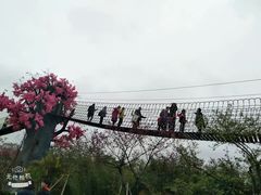 -天适樱花悠乐园