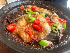 金蒜鲶鱼砂锅-万和春排骨砂锅米饭(新业广场店)