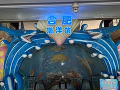 -合肥海洋世界
