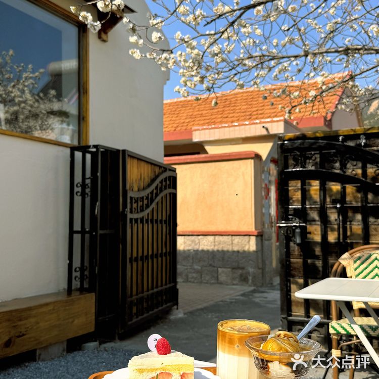 青岛崂山｜这家咖啡店的花开疯了🌬️