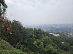 -铁山坪森林公园