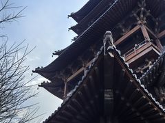 -杭州半山国家森林公园