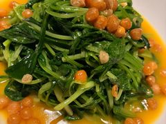 陕南豆蓉鸡毛菜-醉长安(钟楼旗舰店)