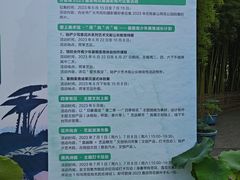 -陈家山荷花公园