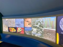 -上海昆虫博物馆