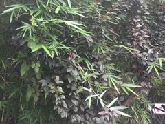 -齐岸健身(花园城店)