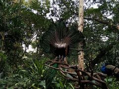 -广州长隆野生动物世界