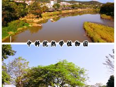 -中国科学院西双版纳热带植物园